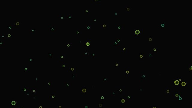 Light neon moving around the Bubbles symbol. Bubbles animation and motion graphics big and small babuls black background. 4k