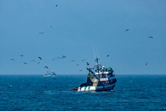 Barco pesqueiro em alto-mar cercado por aves marinhas sob c&eacute;u azul