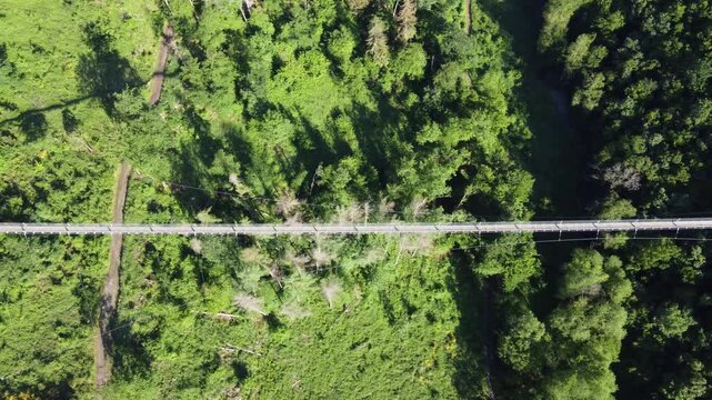 Aerial Top Down View of Geierlay Bridge with Visitors over Forest, Germany