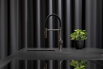 Modern black faucet in kitchen. Minimalist design with green plant.
