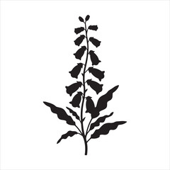 A black silhouette of a foxglove plant flat vector art Silhouette image of a Foxglove flower stem vector isolated illustration © Jabed