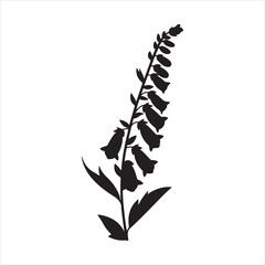 A black silhouette of a foxglove plant flat vector art Silhouette image of a Foxglove flower stem vector isolated illustration © Jabed