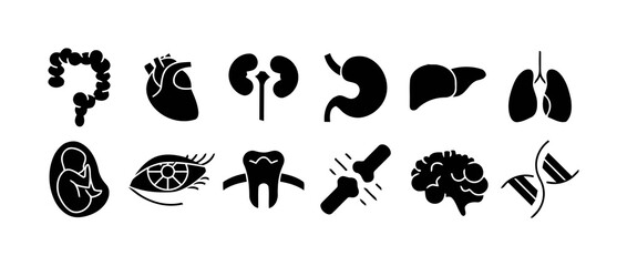 Fototapeta premium Human Organ Silhouettes Vector Illustration