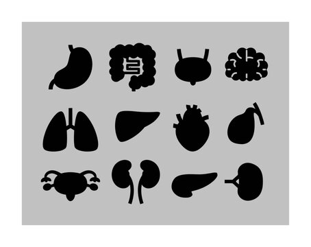 Human Organs Medical Icons Set Vector Illustration
