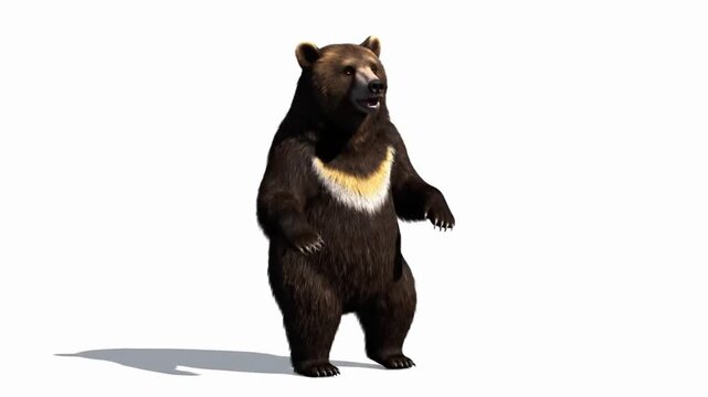 Sun bear dances in detailed CG fur rendering with realistic movement in a playful setting