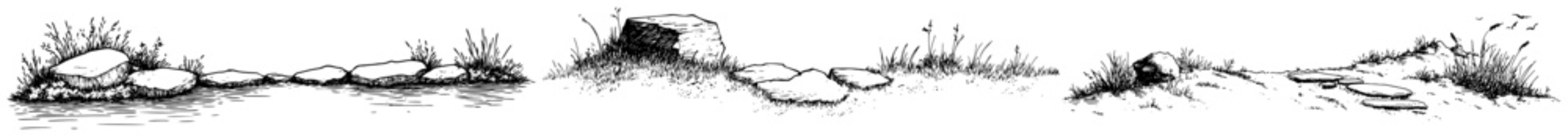 Rocks and wild grass patches along dry soil in sketch style