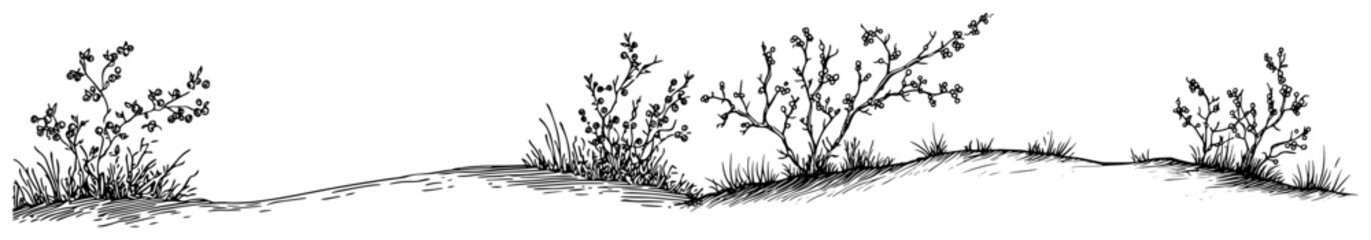 Rolling hills with sparse shrubs and wild grass in sketch style © Kaz