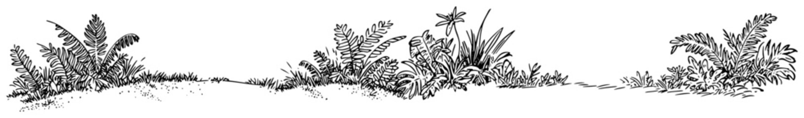 Wild ferns and lush foliage on a grassy mound in sketch style © Kaz