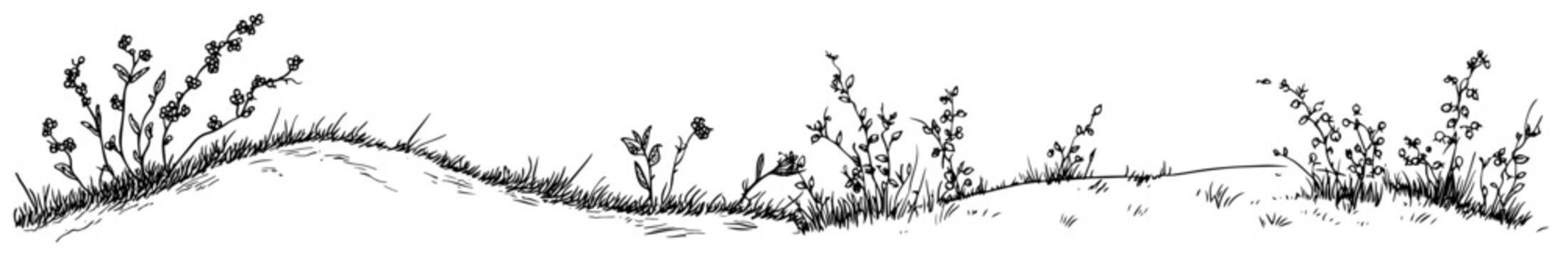 Grassy hills with wildflowers and small weeds in hand drawn doodle style