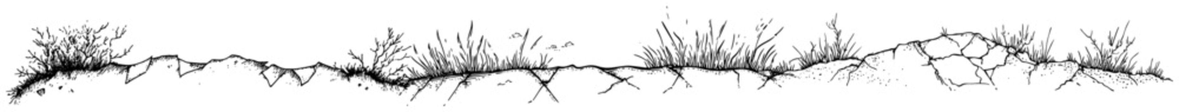 Cracked earth and ground surface with dry plants in hand drawn style