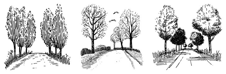 Naklejka premium Tree lined roads in three different rural landscape scenes hand drawn sketch style