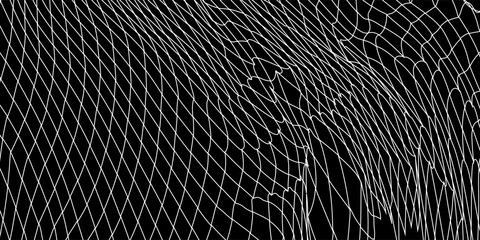 Fishing or soccer net. Repeated hexagon pattern. Black wired mesh texture isolated on white background.ilustrasion modern. © fais