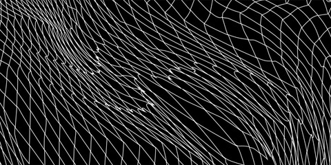 Fishing or soccer net. Repeated hexagon pattern. Black wired mesh texture isolated on white background.ilustrasion modern. © fais