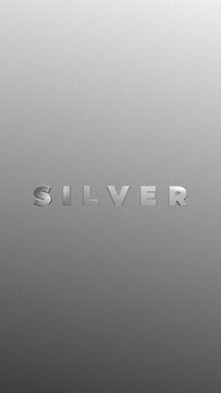 Silver Cinematic 3D Text Vertical Title for Mobile Video and Stories
