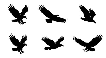 Obraz premium Eagle silhouette vector set, collection of 6 flying hawk and bald eagle icons, black bird of prey shapes isolated on white background