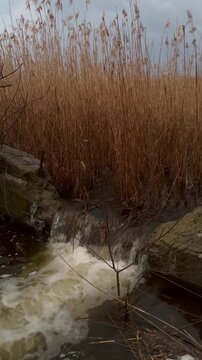 river in autumn