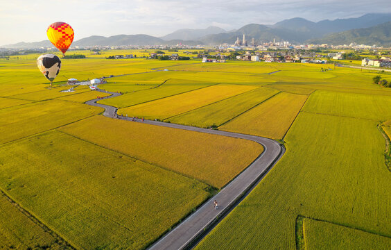 Aerial panorama of colorful balloons taking flight from green rice fields in Hot Air Balloon Festival & a country road winding thru rice paddies in the season of golden harvest, in Yilan (Ilan) Taiwan