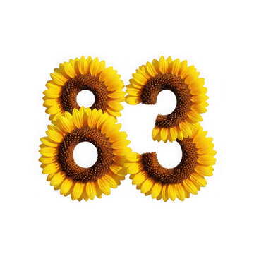 The number eighty-three creatively formed by arranging vibrant yellow sunflower heads together isolated on transparent background