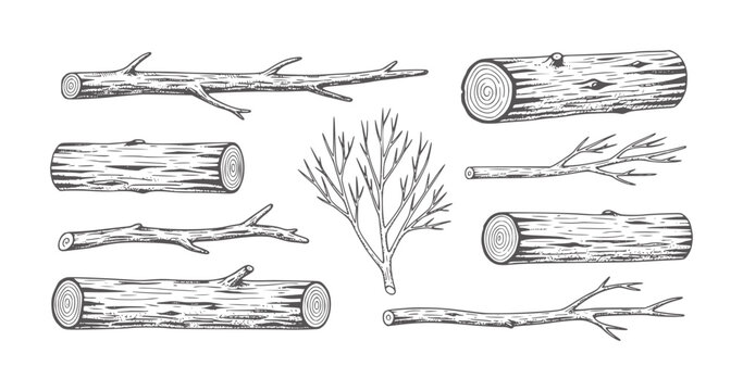 Collection of hand drawn wood logs and branches with textures tree nature