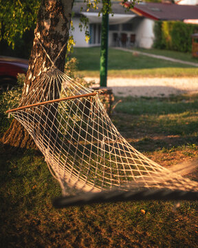 Hammock hanging in a sunny backyard at golden hour