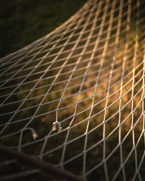 Hammock hanging in a sunny backyard at golden hour