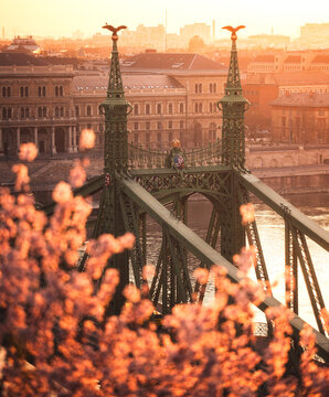 Liberty Bridge detail with blossom foreground