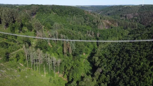 Aerial View of Geierlay Suspension Bridge over Damaged Forest Valley, Germany