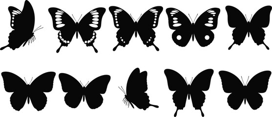 Obraz premium Butterfly Silhouette Collection with Various Wing Shapes and Patterns for Nature Design, Tattoo Inspiration, Decorative Elements, and Black Vector Icon Set