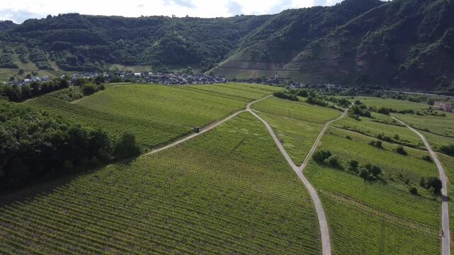 Aerial View of Moselle Valley Village, Vineyards and River, Germany