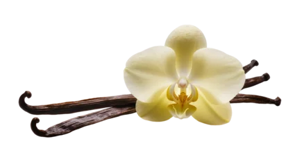 Fotobehang Orchidee Isolated vibrant yellow vanilla orchid flower with several dried aromatic vanilla bean pods  © Maria