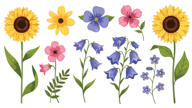 Detailed set of colorful wildflower illustrations featuring sunflowers bluebells pink and purple blossoms with green leaves and stems.