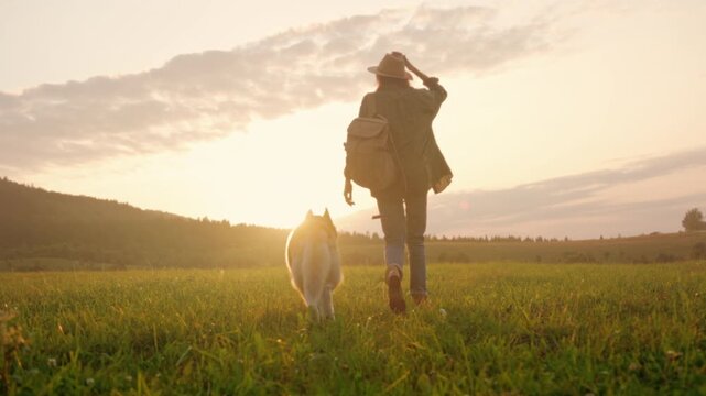 Peaceful trek alongside devoted canine at dusk, Serene night walk in open fields with dog under gentle clouds
