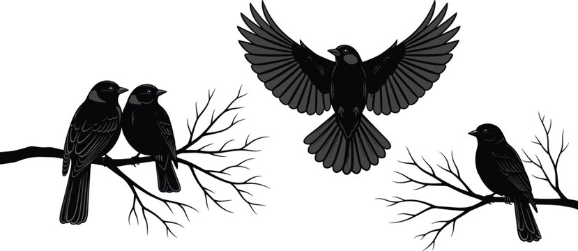 Black bird silhouettes set, flying crow raven illustrations, perched birds on branches, wildlife vector, nature design, gothic style, minimalist outline collection