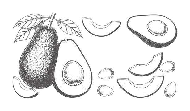 Black and white of avocado whole sliced and pitted slices fruit seeds