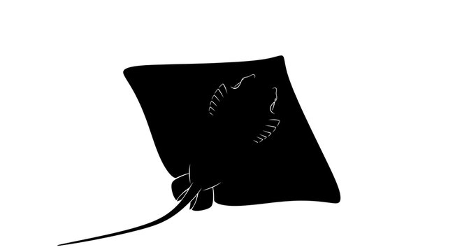 Black drawstring bag with white stitching.