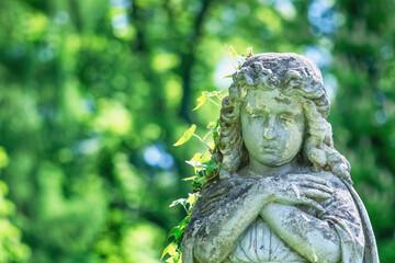 Fototapeta premium Angel statue surrounded by green nature, symbolizing peace, serenity and spiritual protection in soft natural light with blurred background.