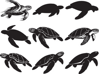 Green Sea Turtle Swimming with Extended Flippers © Ansar