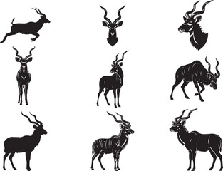 Kudu Antelope Standing with Spiral Horn Elegance © Ansar
