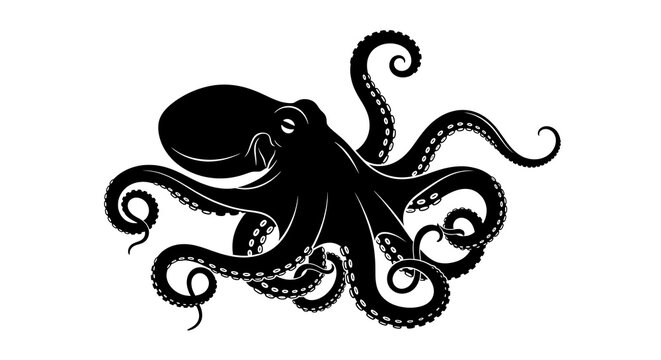 Black octopus illustration on white background.