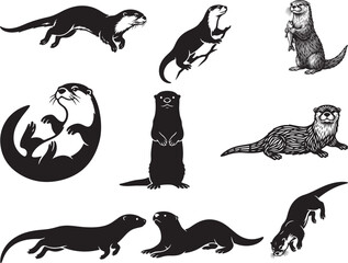Playful Otter Standing Upright with Curved Body © Ansar