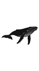 Fototapeta premium Black silhouette of a whale swimming.