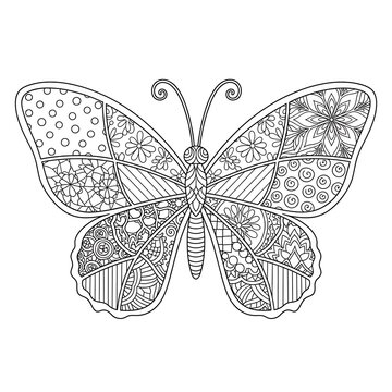 Black and white butterfly with intricate patterns on wings isolated on white background
