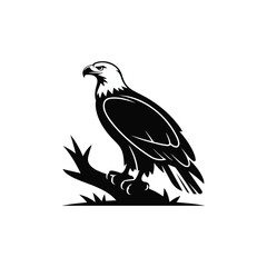 Obraz premium Majestic Bald Eagle Perched on a Branch Black and White Illustration, Eagle, Minimalist and Simple Silhouette