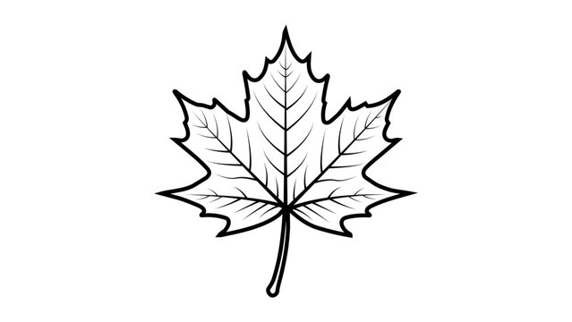 Minimalist black line vector icon illustration of a detailed maple leaf on a white background, perfect for nature, autumn, and Canadian-themed designs, scalable hand-drawn outline graphic.