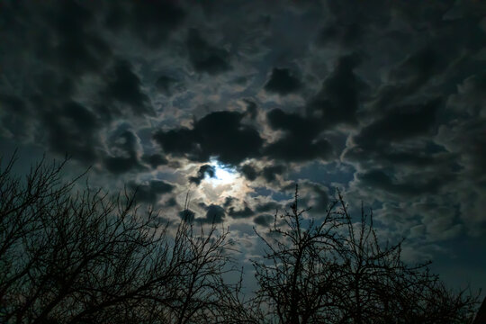 Night sky with clouds in the moonlight and tree branches without leaves. Skyscape on a moonlit, overcast night