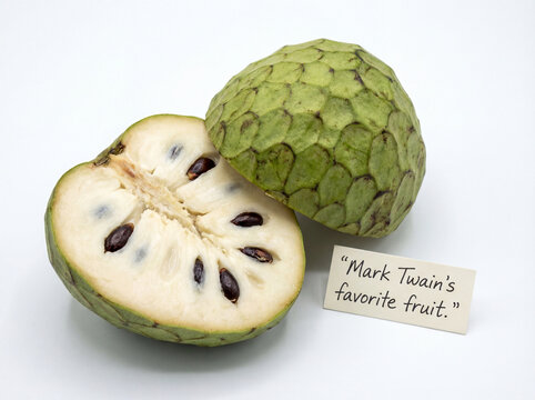 A whole and halved green custard apple, also known as sugar apple or sweetsop, with a note that reads 'Mark Twain's favorite fruit'.