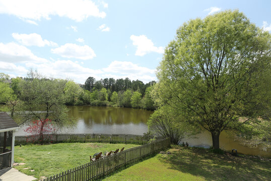 Frazier Lake, Durham, NC at Spring