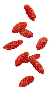 Falling Goji berry, Wolfberry isolated, full depth of field