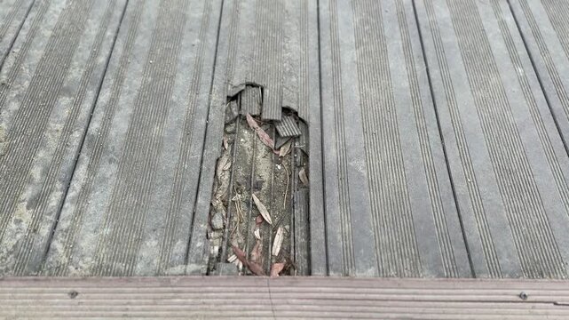 Close up broken wooden dock decking, weathered boards with splintered plank and exposed nail heads, salt stains and algae growth.