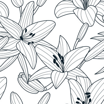 Seamless vector pattern with hand drawn lily blossom flowers. Floral background for fabric, textile, wrapping paper